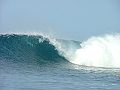 Mentawai6