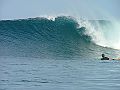 Mentawai7