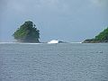 Mentawai8