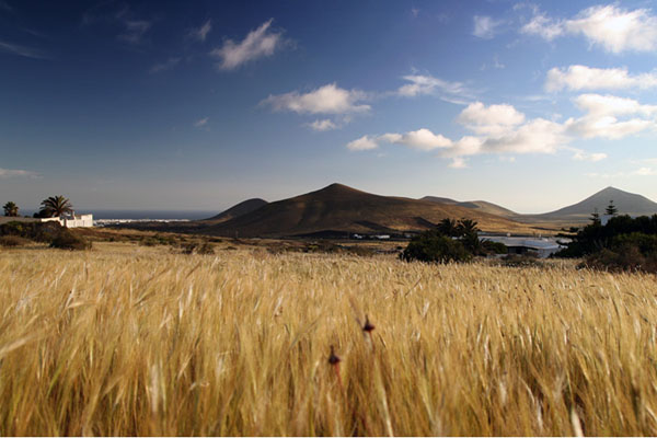 lanzarote 